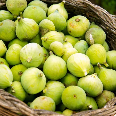 Internazionale Barano dʼIschia